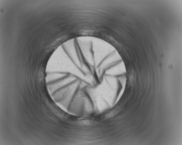 X0000082680620200702232139