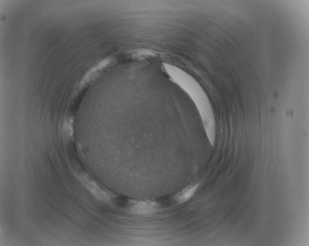 X0000082680621200702232139