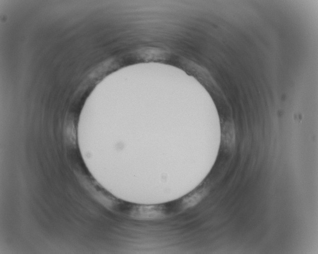 X0000082680622200702232139