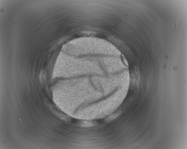 X0000082680623200702232139