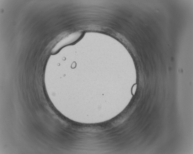 X0000082680625200702232139