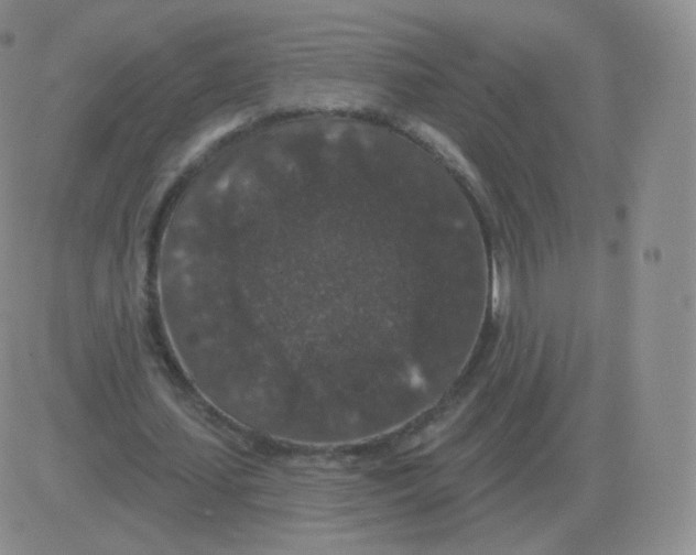 X0000082680627200702232139