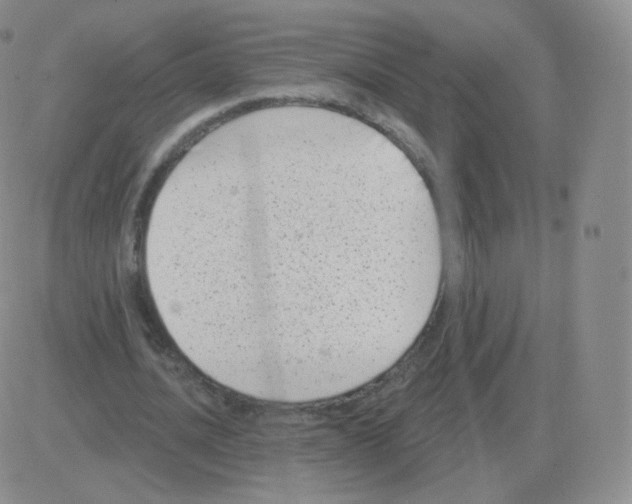 X0000082680628200702232139