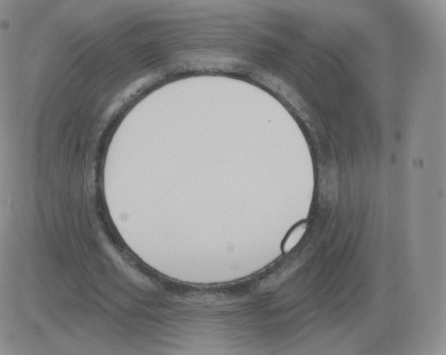 X0000082680629200702232139