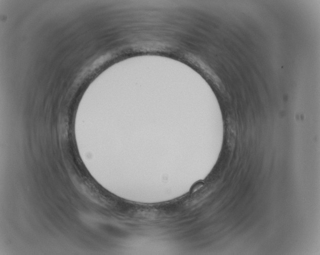 X0000082680631200702232139