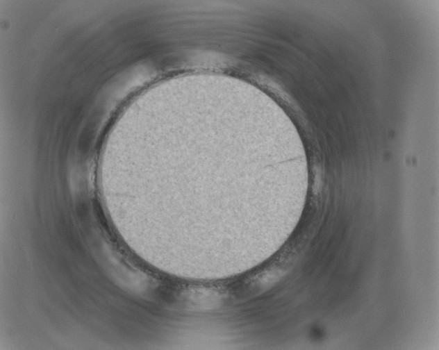 X0000082680632200702232139