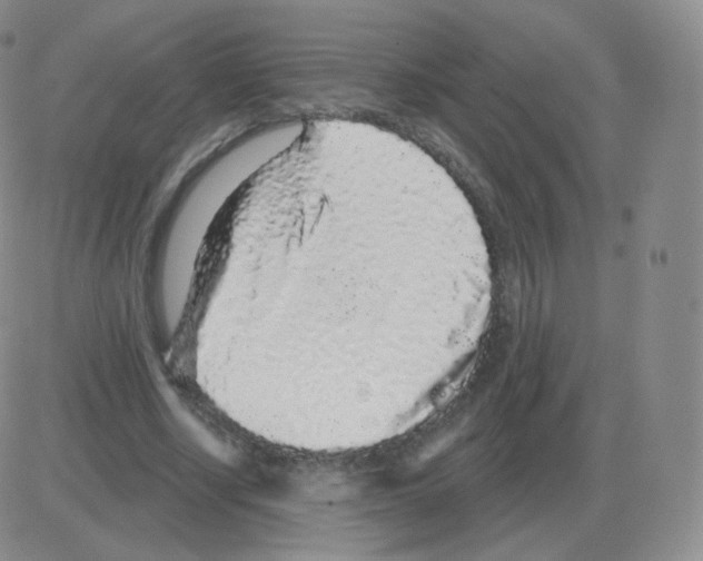 X0000082680634200702232139