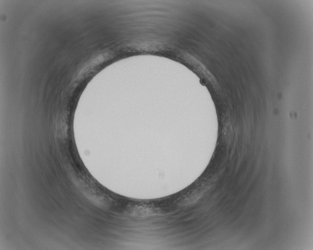 X0000082680635200702232139