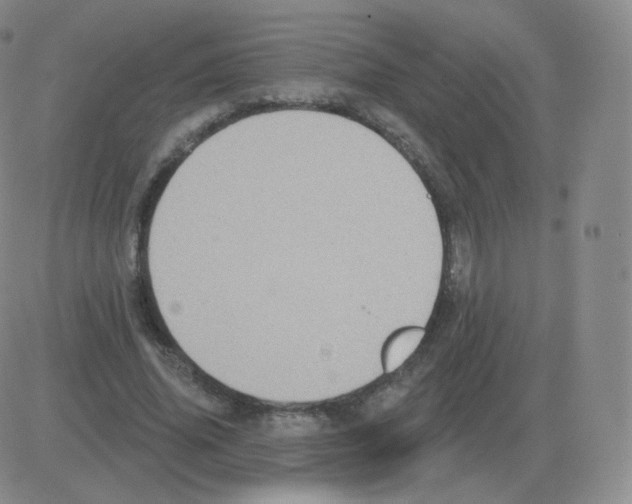 X0000082680636200702232139