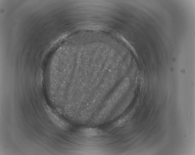 X0000082680637200702232139