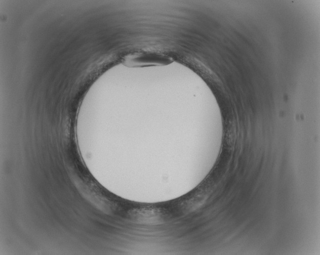 X0000082680639200702232139