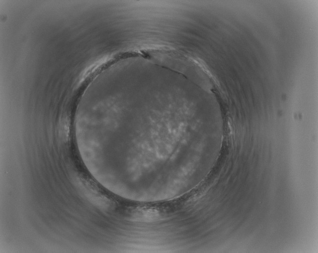 X0000082680640200702232139