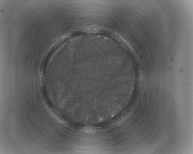 X0000082680641200702232139