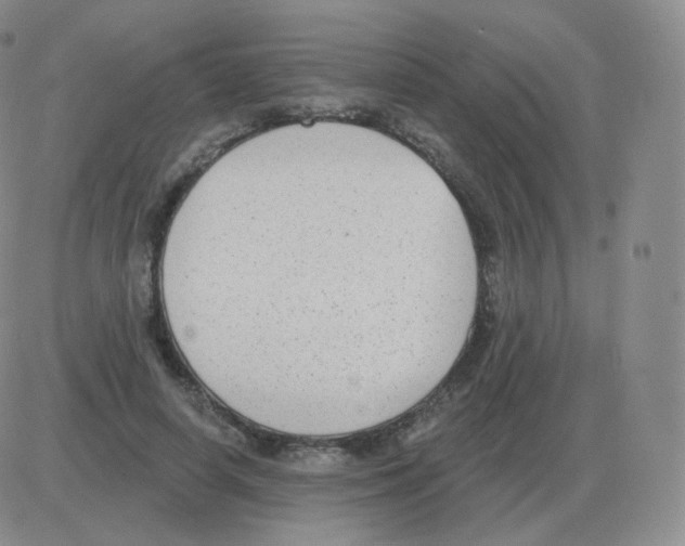 X0000082680642200702232139