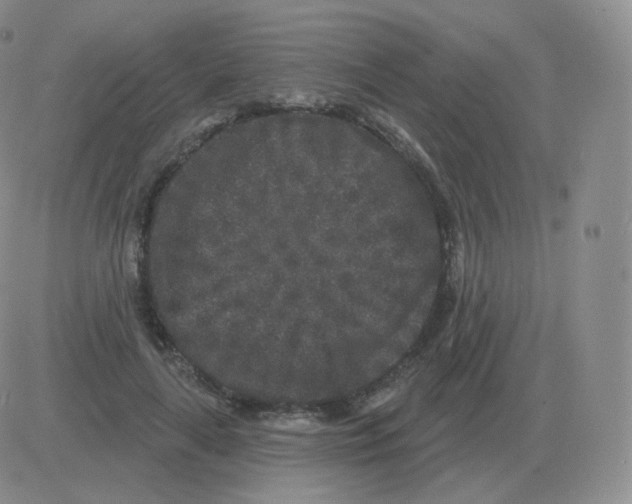 X0000082680643200702232139