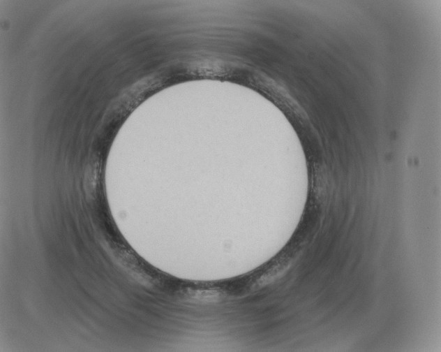 X0000082680645200702232139