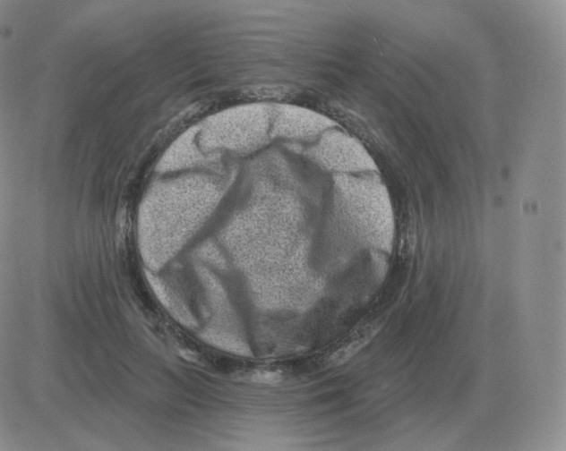 X0000082680647200702232139