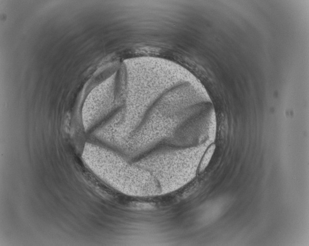 X0000082680649200702232139