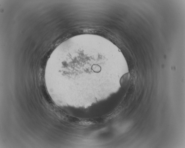 X0000082680650200702232139