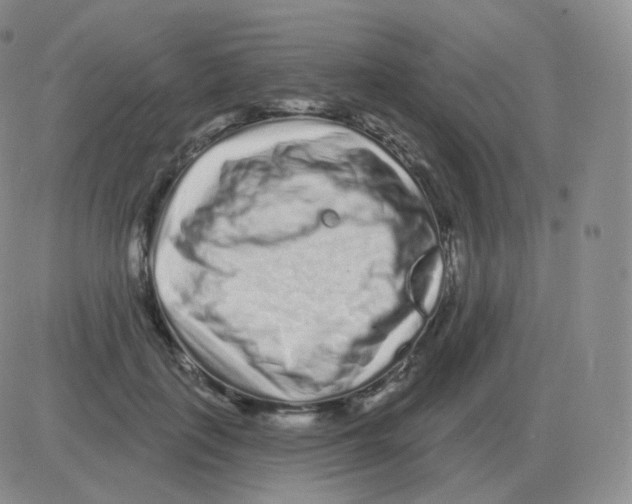 X0000082680651200702232139