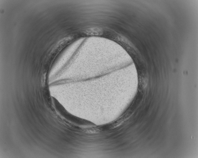 X0000082680652200702232139