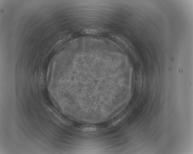 X0000082680653200702232139