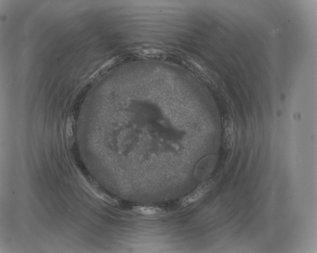 X0000082680654200702232139