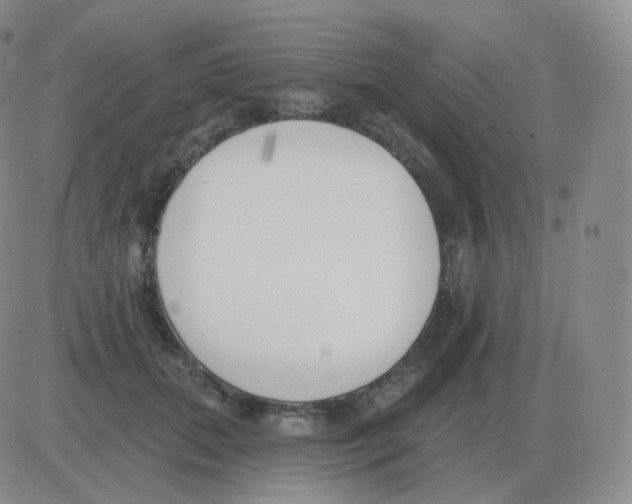 X0000082680655200702232139