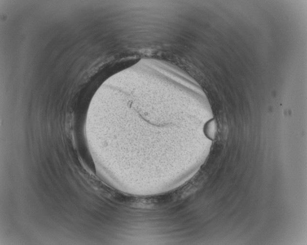 X0000082680656200702232139