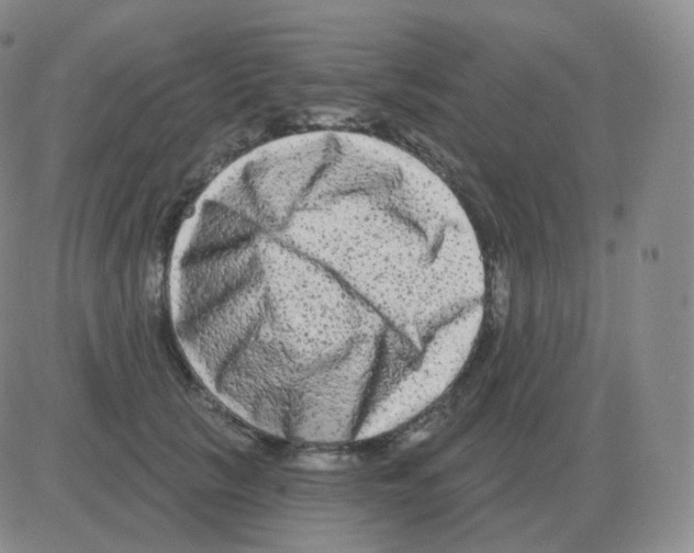 X0000082680657200702232139