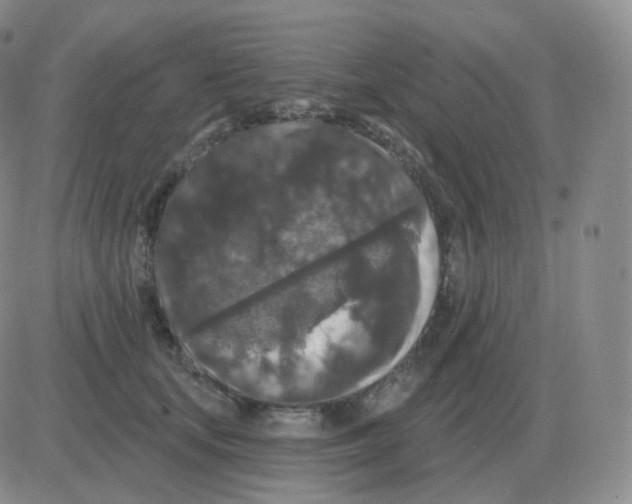 X0000082680659200702232139