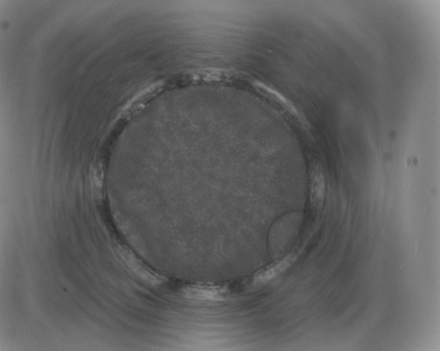 X0000082680661200702232139