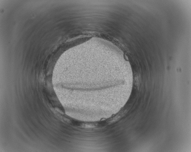 X0000082680662200702232139