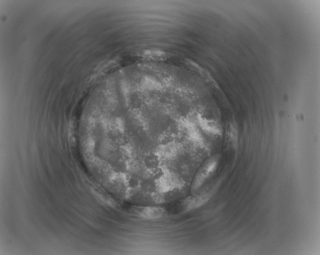 X0000082680663200702232139