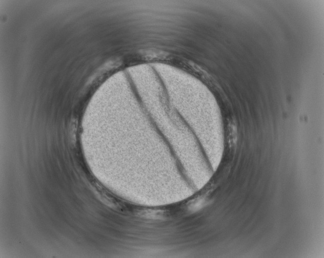 X0000082680664200702232139