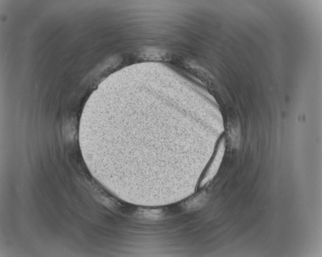 X0000082680665200702232139