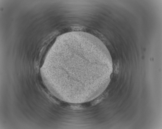 X0000082680666200702232139