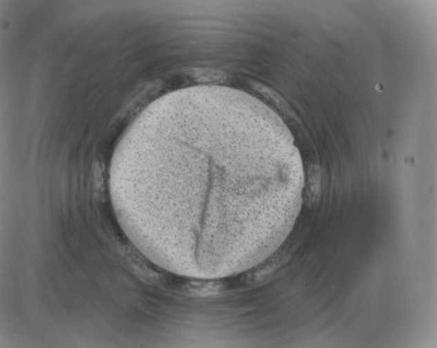 X0000082680667200702232139