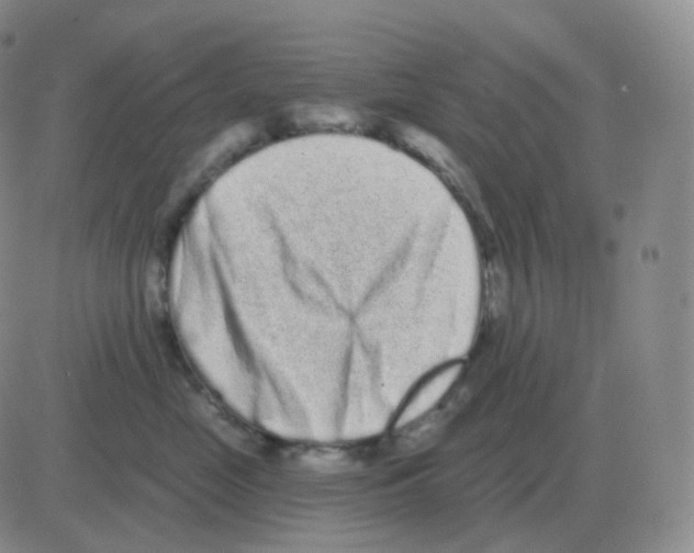 X0000082680669200702232139