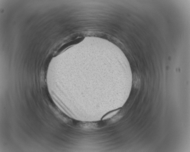 X0000082680670200702232139