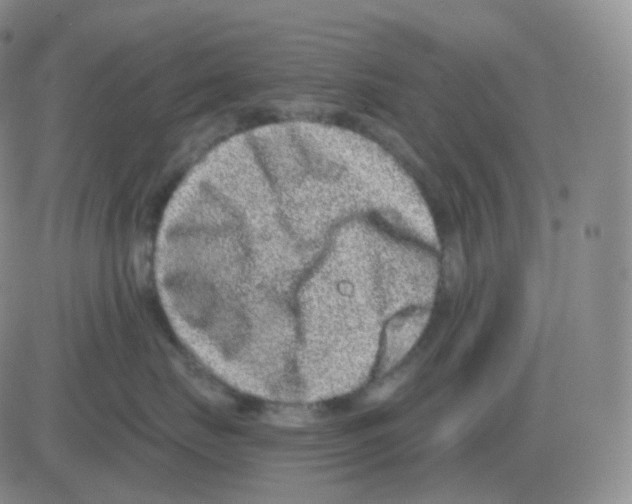 X0000082680671200702232139