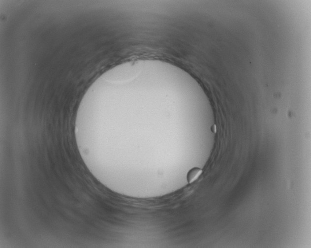 X0000082680672200702232139