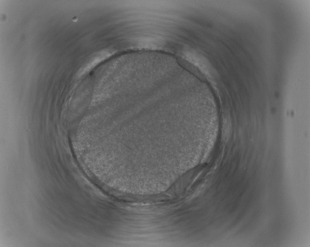 X0000082680673200702232139