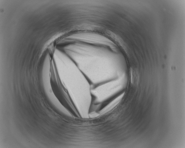 X0000082680675200702232139