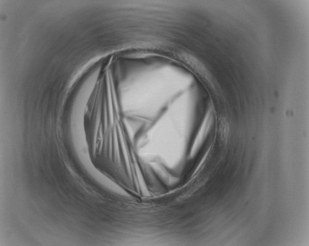 X0000082680676200702232139