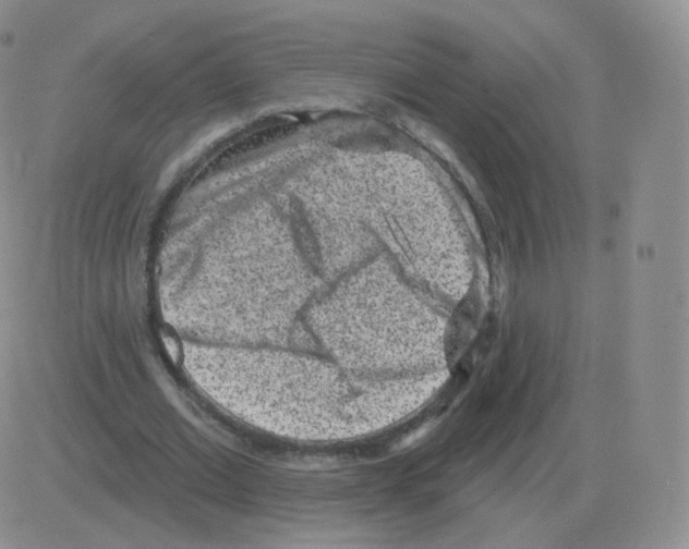 X0000082680677200702232139