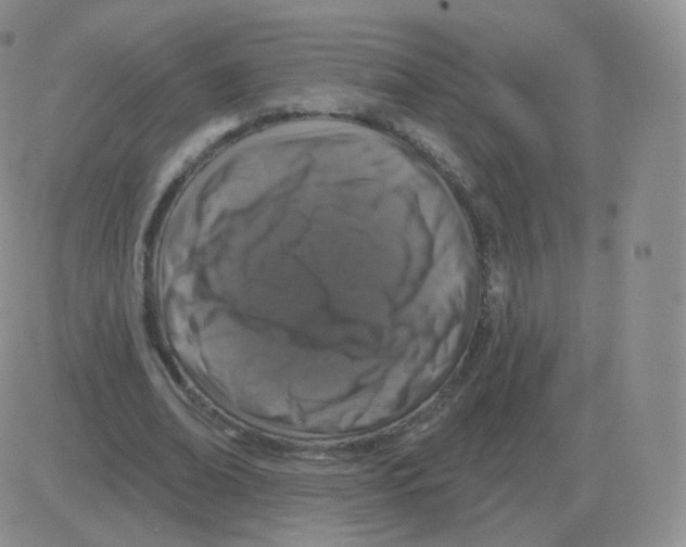 X0000082680678200702232139