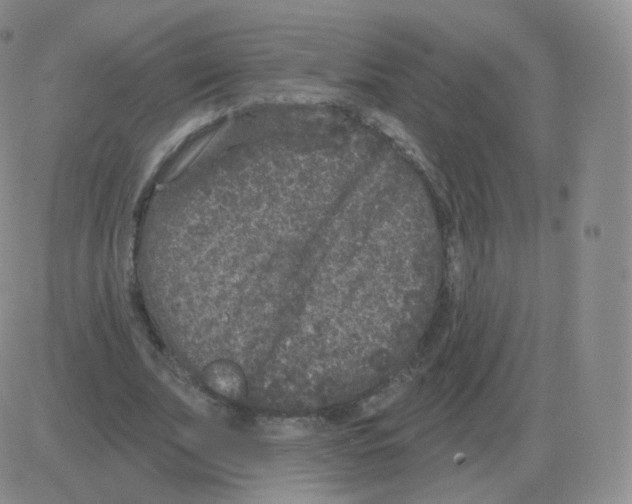 X0000082680679200702232138