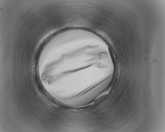 X0000082680680200702232138