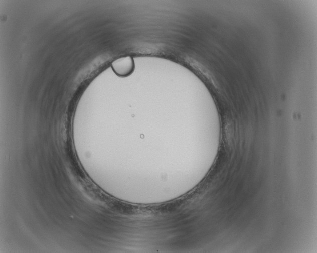 X0000082680682200702232138